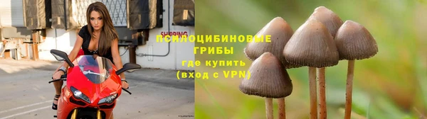 кокаин колумбия Богородицк