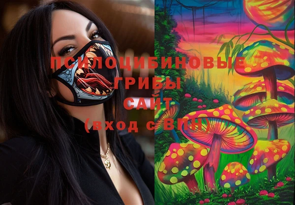 2c-b Балахна